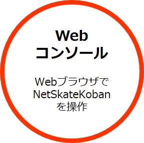 opt_webconsoleicon.jpg